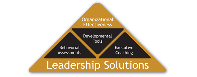 Leadership Solutions